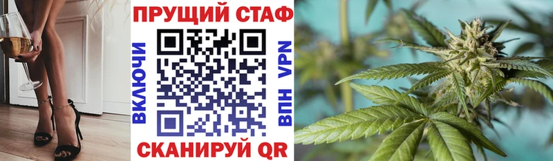 APVP Ногинск