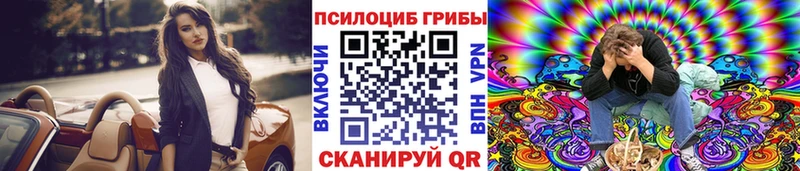Псилоцибиновые грибы Psilocybine cubensis  Ногинск 