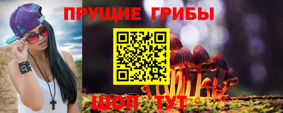 Галлюциногенные грибы прущие грибы Ногинск