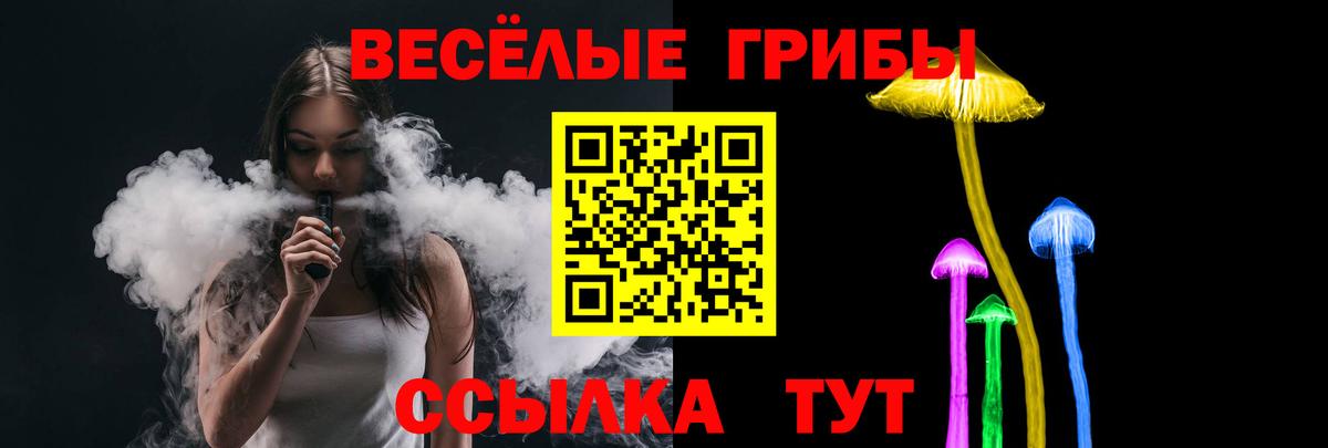 Ногинск  Галлюциногенные грибы Cubensis  Вход с VPN 